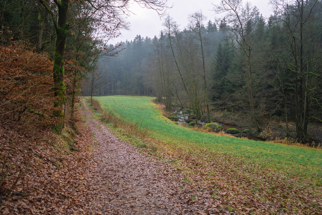 Schoener-Wanderweg-am-Hoellbach-entlang