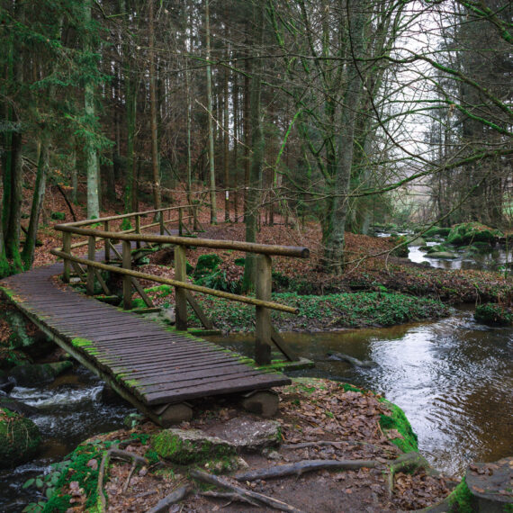 Rundwanderung-Naturschutzgebiet-Hoelle-Hoellbachtal