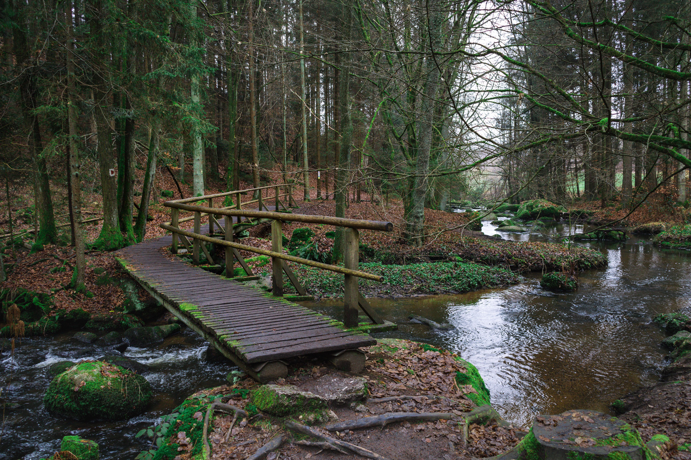 Rundwanderung-Naturschutzgebiet-Hoelle-Hoellbachtal