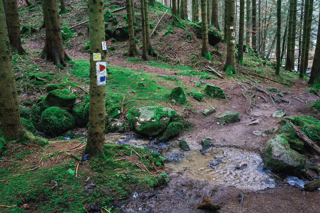 Wanderweg-Markierung-rotes-Dreieck-2