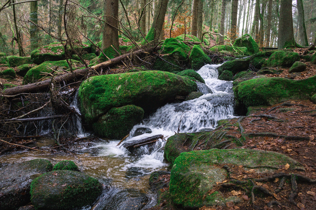 Wasserfall Höllbachtal Naturschutzgebiet Hölle