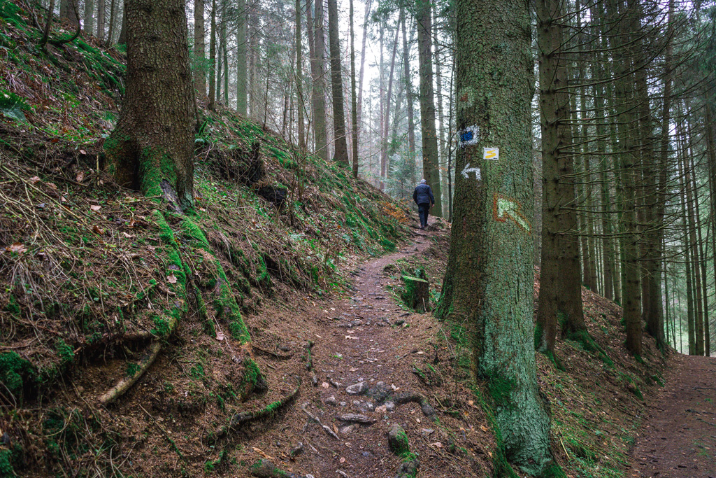 Wegweiser-durch-den-Wald-Hoelle-Rundweg-Rettenbach