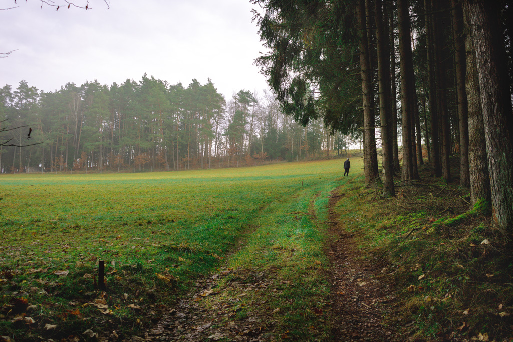 Wiesenpfad-Richtung-Roehrenhof