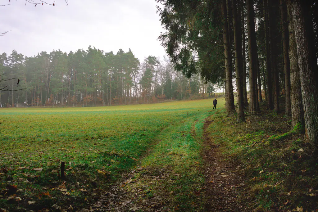 
Wiesenpfad-Richtung-Roehrenhof