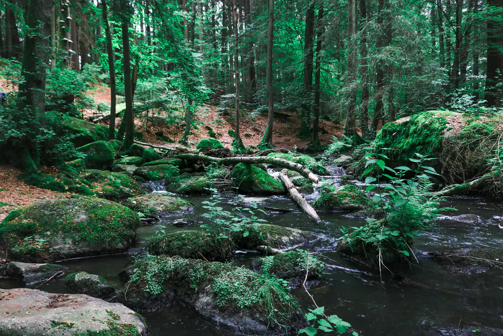 Wildromantische-Natur-im-Naturschutzgebiet-Hölle