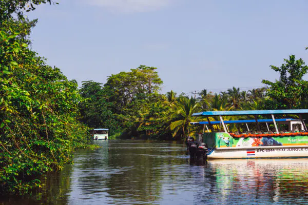 Kanäle-von-Tortuguero-Costa-Rica-Bootstour