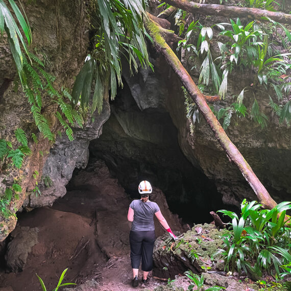 Bat-Cave-Höhleneingang-Bastimentos-Island-Panama