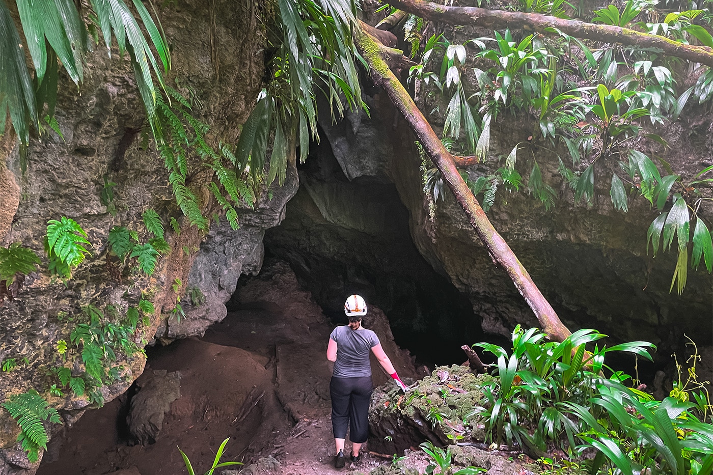 Bat-Cave-Höhleneingang-Bastimentos-Island-Panama