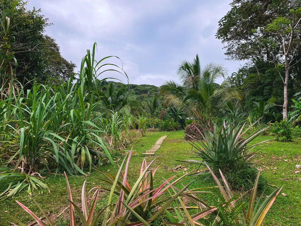 Bastimentos Island Panama