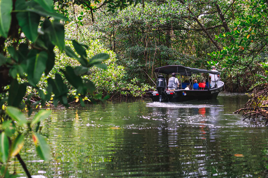 Bootstour-Bastimentos-Island-Bocas-del-Toro-Panama