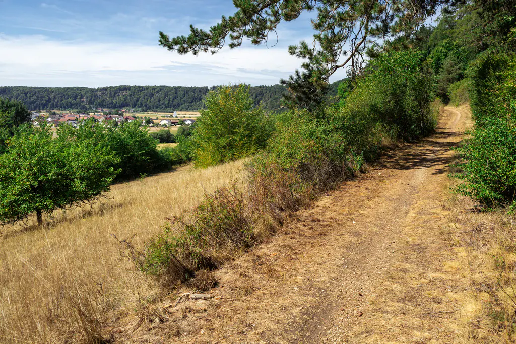 Wanderweg Nr. 2 
zur Arnsberger Leite
