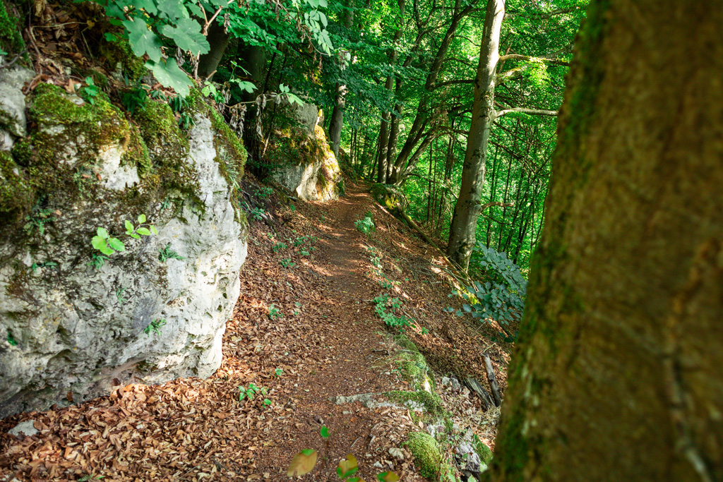 Altmühltal Schlaufenweg 16 Kipfenberg