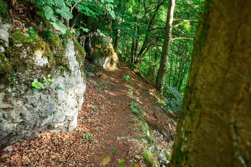 Altmühltal Schlaufenweg 16 Kipfenberg