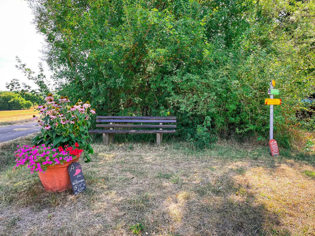 Wanderweg zur Arnsberger Leite