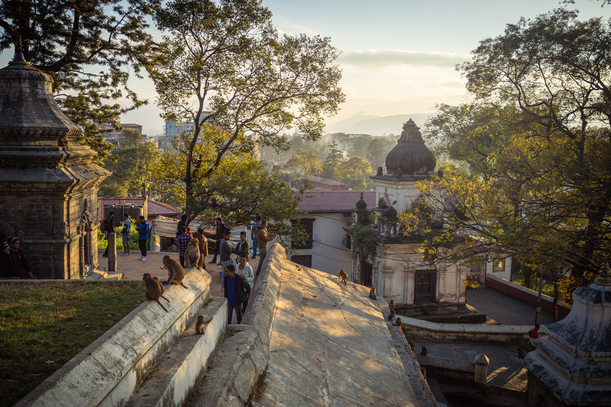 Pashupatinath Tempel Nepal