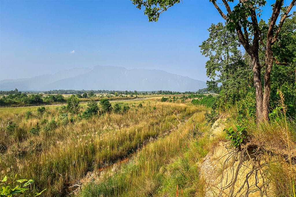 Landschaft Bardia Nepal