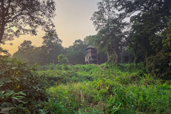 Übernachten im Dschungelturm im Chitwan Nationalpark