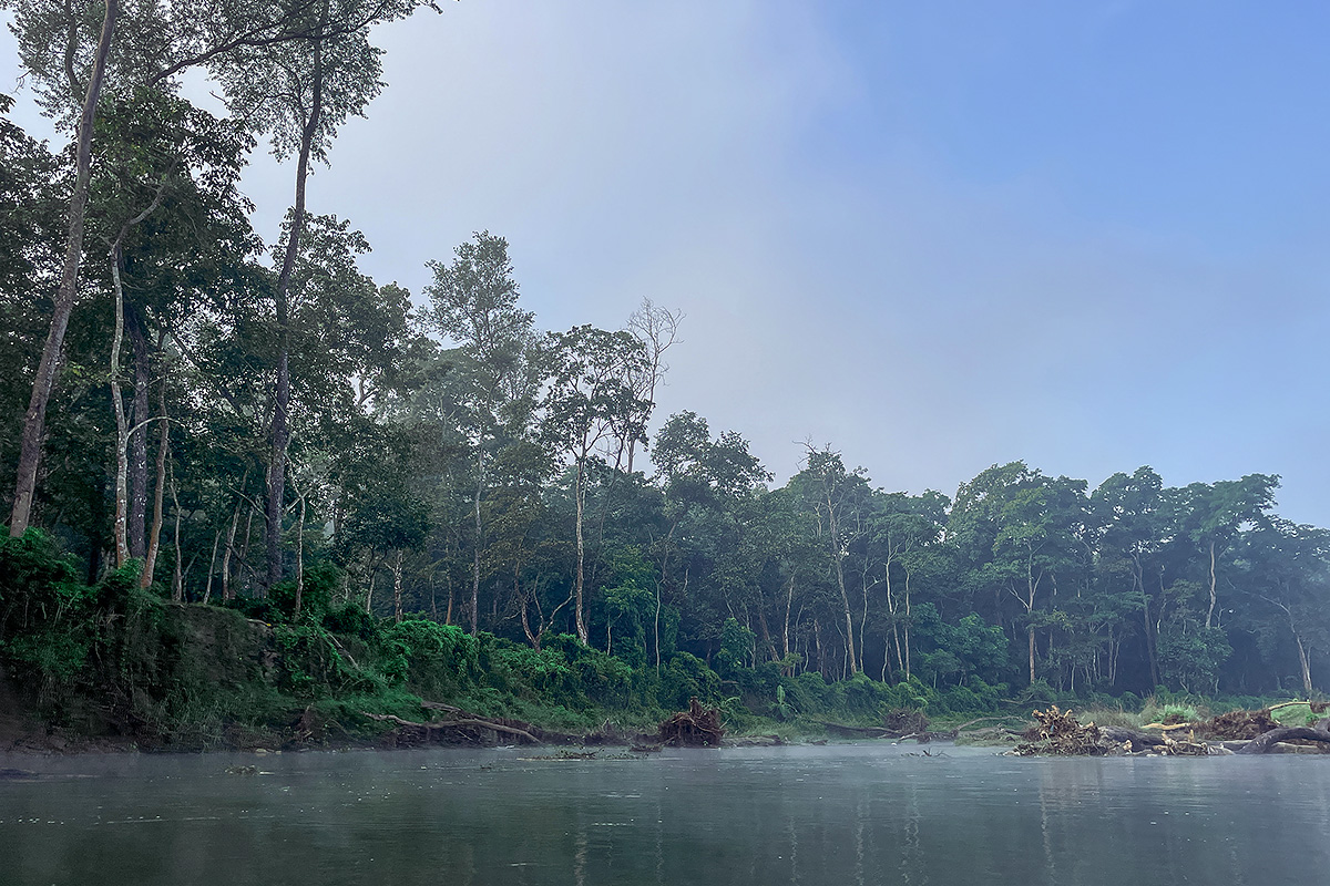 Flussufer Rapid Fluss