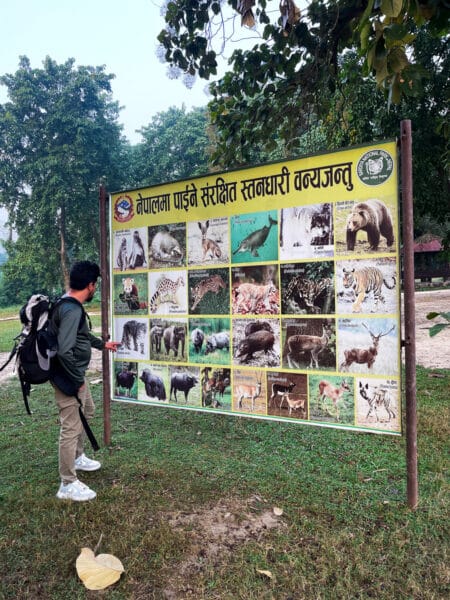 Tiere im Bardia Nationalpark in Nepal