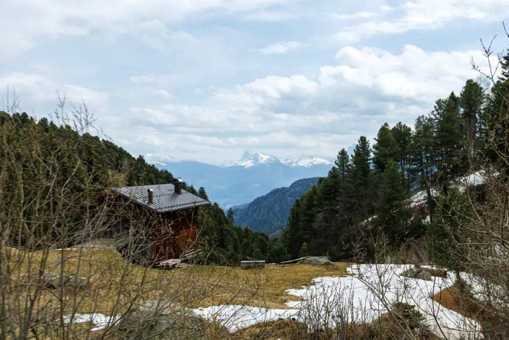 Aussicht Dolomiten Latschenweg