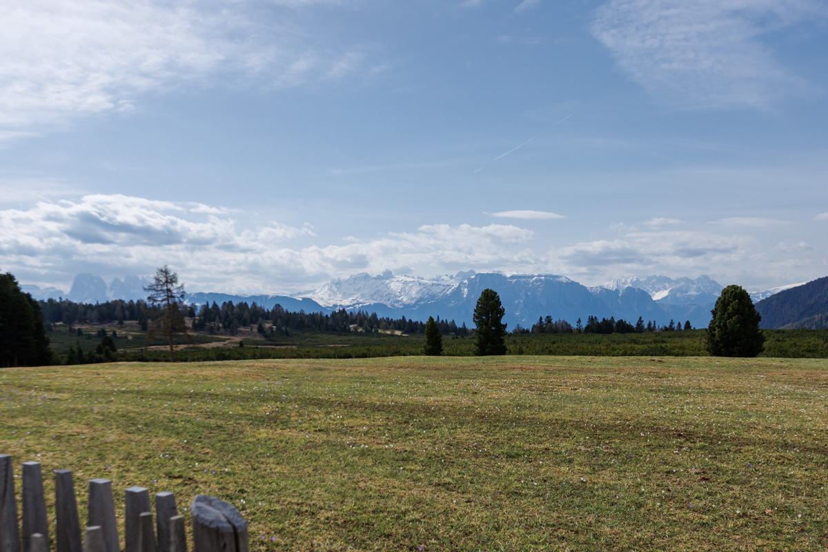 Aussicht von der Rinderplatz Hütte auf die Dolomiten