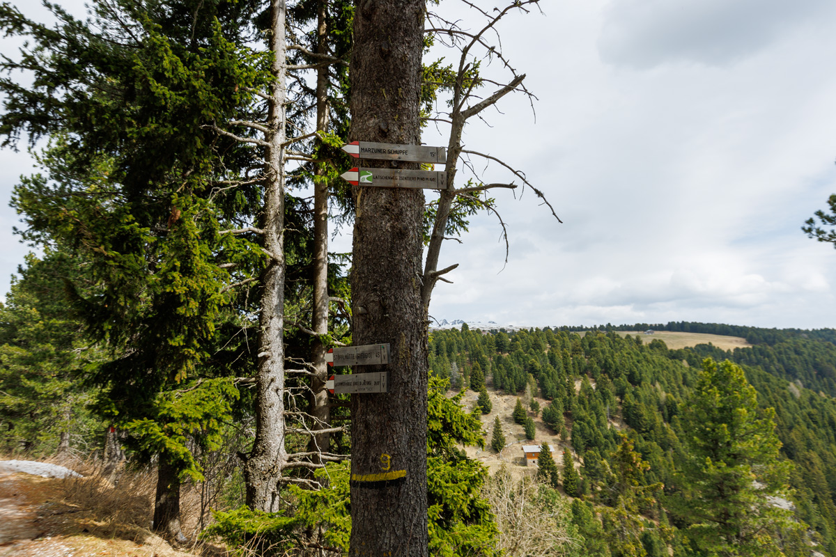 Beschilderung Latschenweg