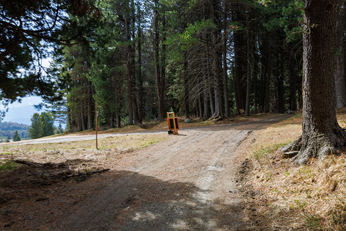 Fahrweg Rinderplatzhütte