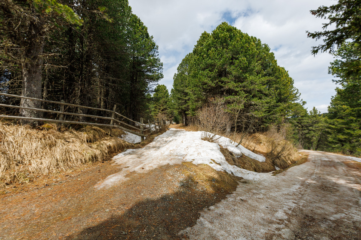 Wegweiser Latschenweg