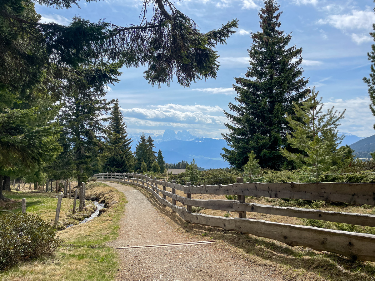 Herrliche Aussicht auf dem Latschenweg kurz nach der Mair in Plun Hütte