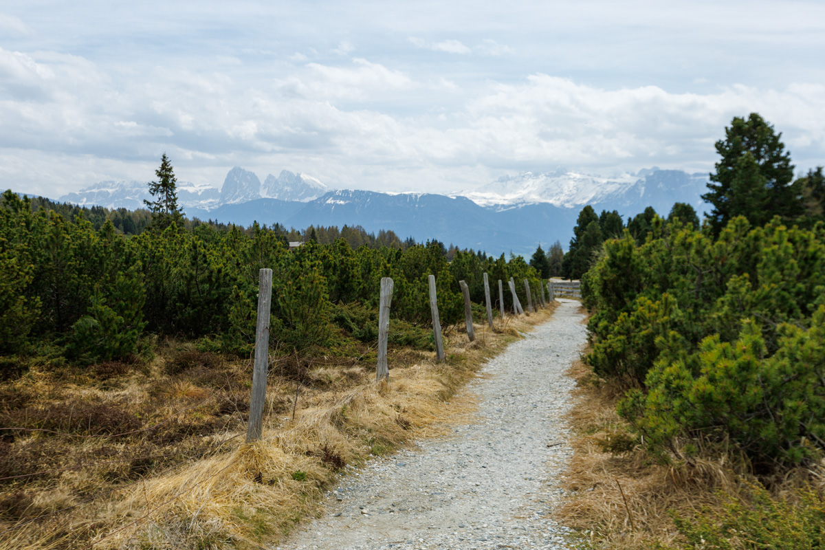 Schotterweg kurz vor der Gasser Hütte