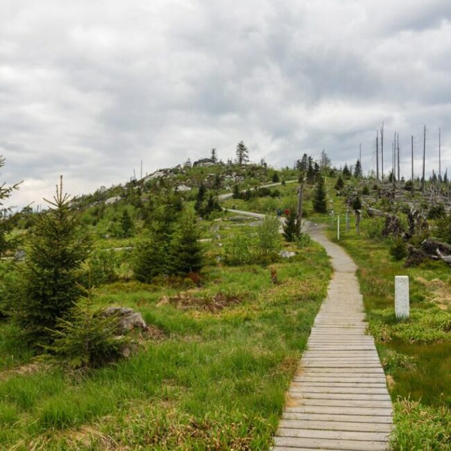 Rundwanderung um den Dreisesselberg im Bayerischen Wald