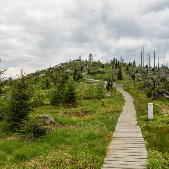 Weg zum Dreisesselberg