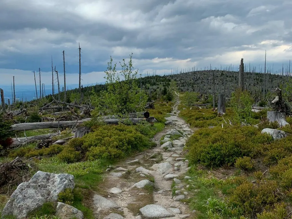 Hochkamm Bayerische Plöckenstein Dreisesselberg