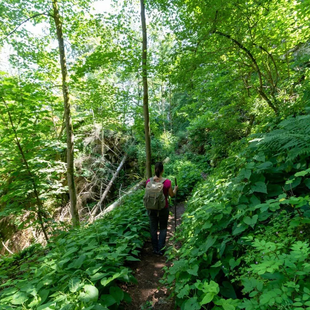 Klamm Altmühltal