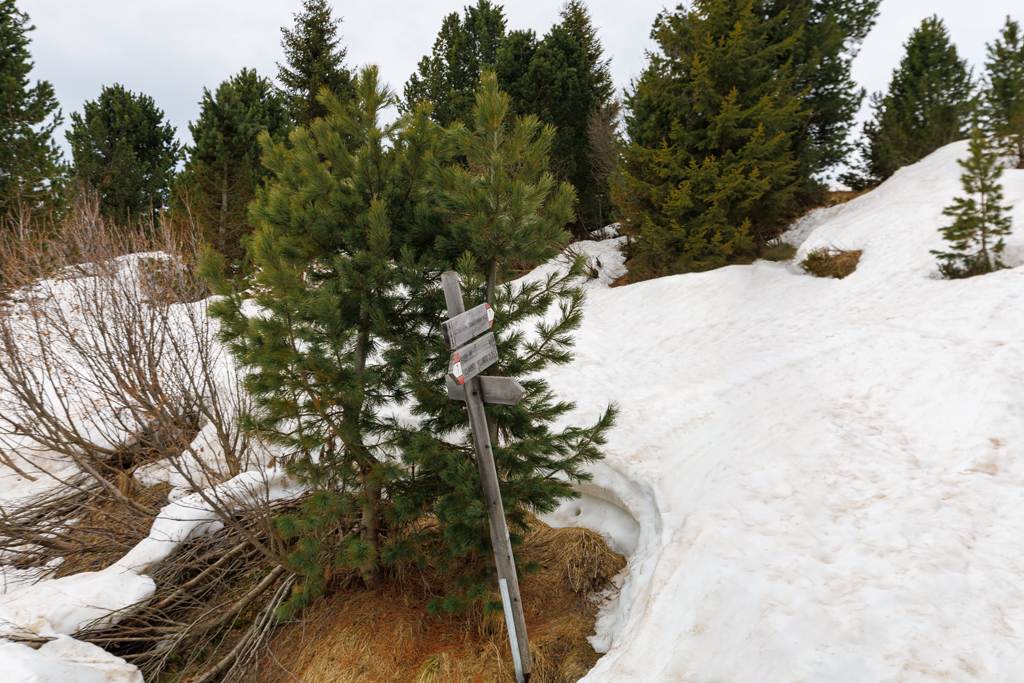 Wegweiser Nr. 7 Rittner Horn