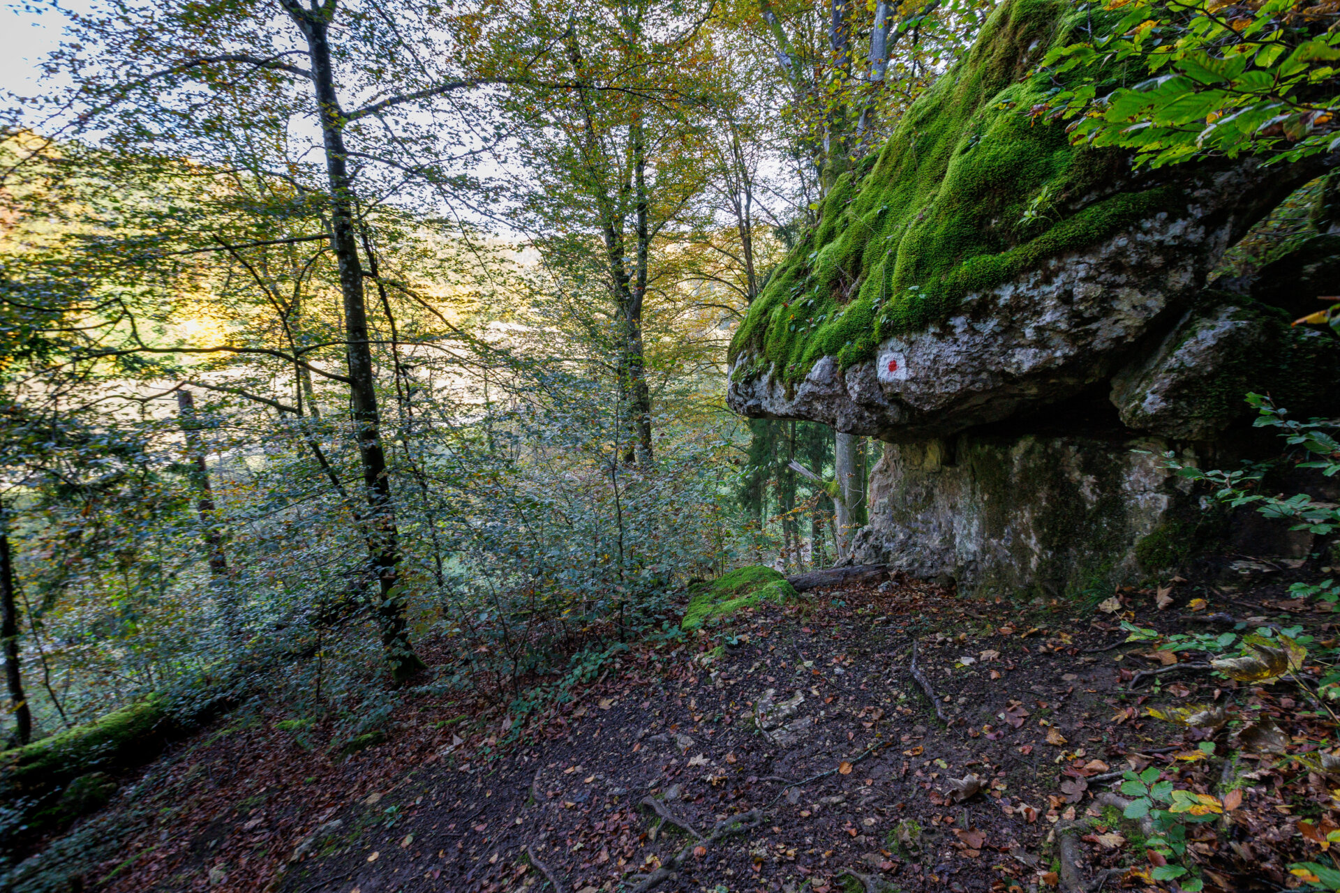 Felsüberhang Rundwanderung Eilsbrunn
