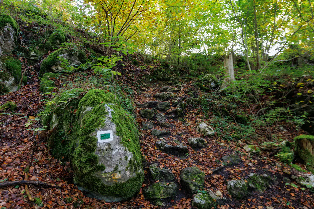 Grüne Wegmarkierung zur Hohen Wand