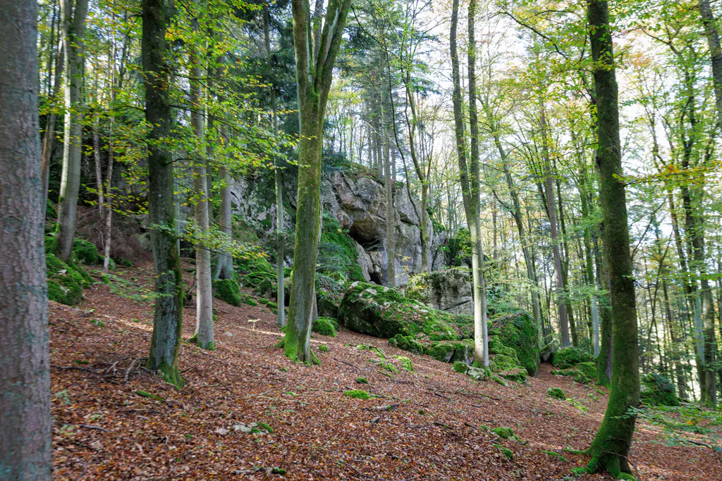 Maihöhle auf der Rundwanderung Eilsbrunn