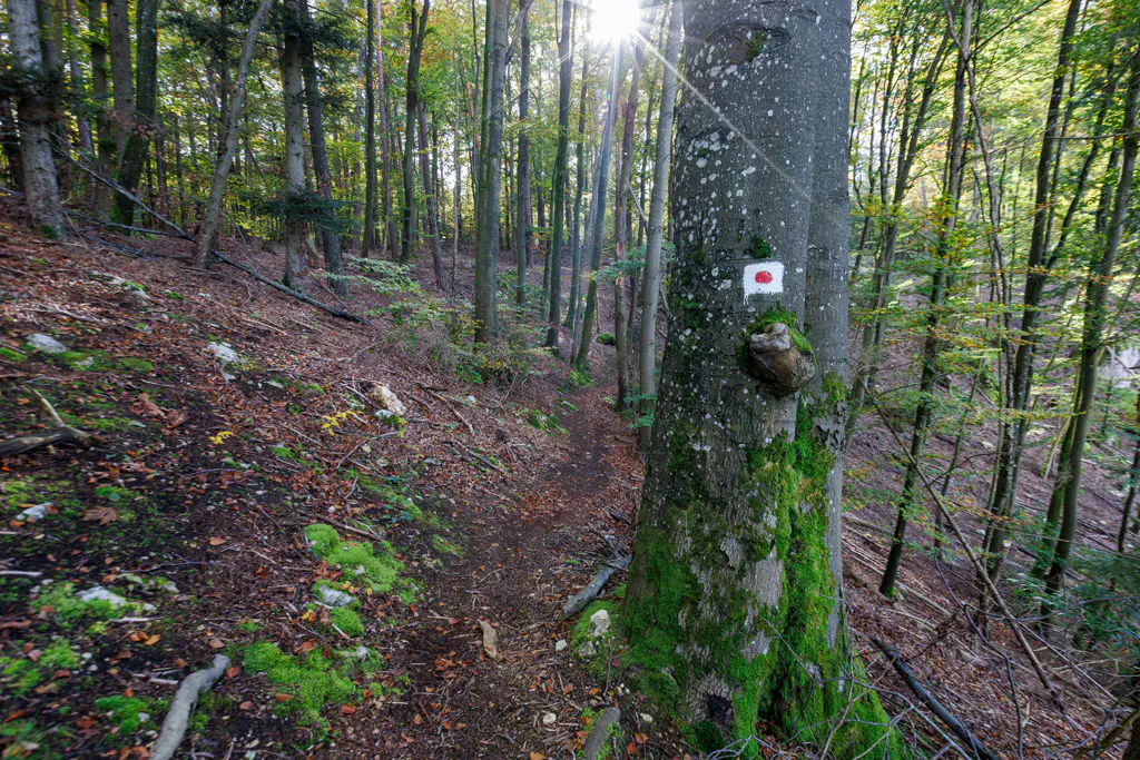 Rot-Weisse Markierung an der Hohen Wand Richtung Alling