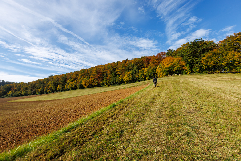 Rundwanderung Eilsbrunn im Herbst