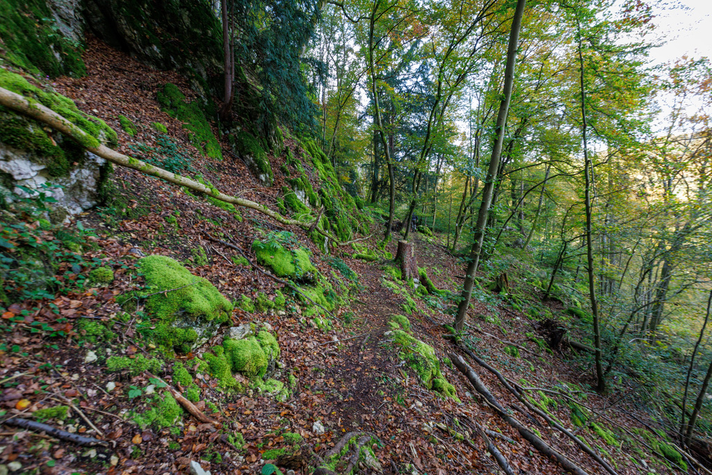 Wanderweg Schwierigkeit T2 an der Hohen Wand in Sinzing