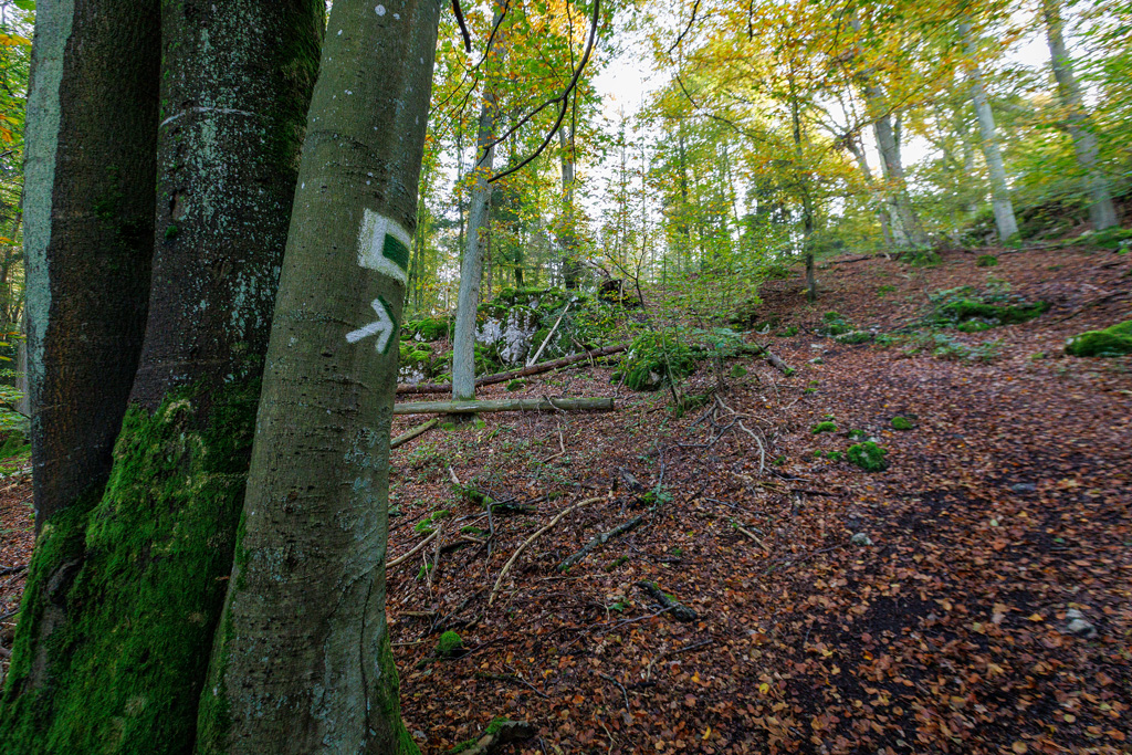 Wegmarkierung W11 von der Bärenhöhle zum Stifterfelsen