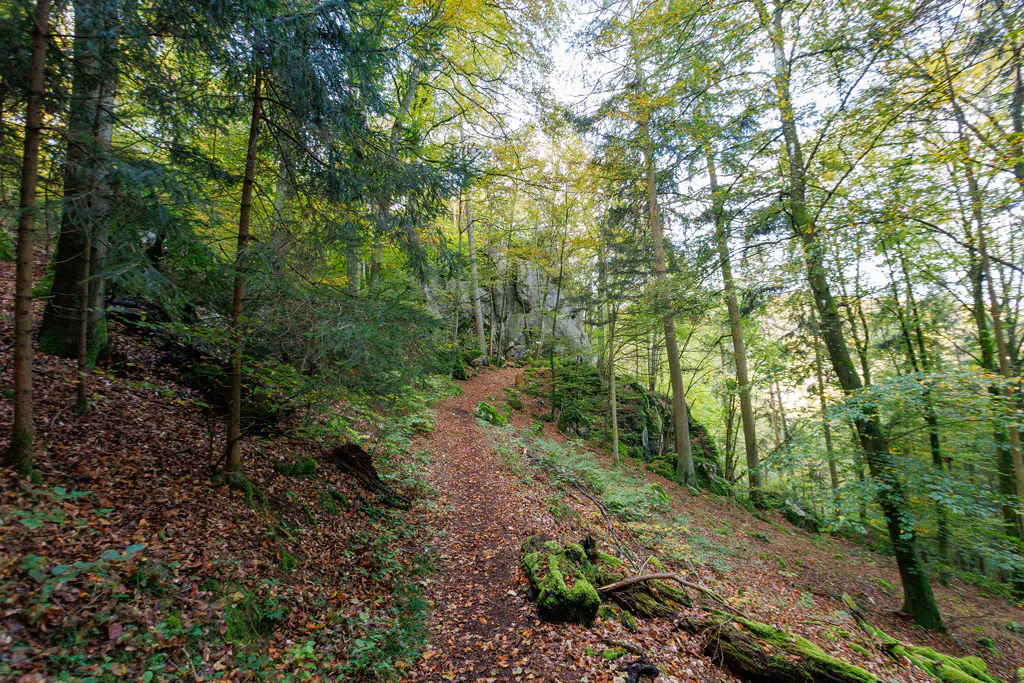 Wanderweg zur Bärenhöhle in Eilsbrunn