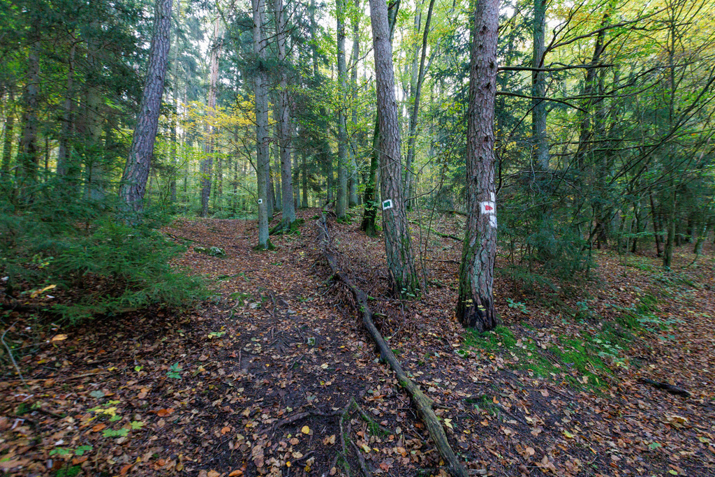 Wegabzweigung zur Bärenhöhle