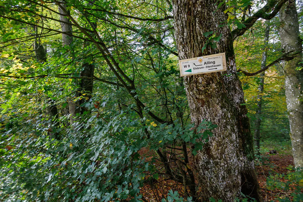 Wegmarkierung W9 nach Alling