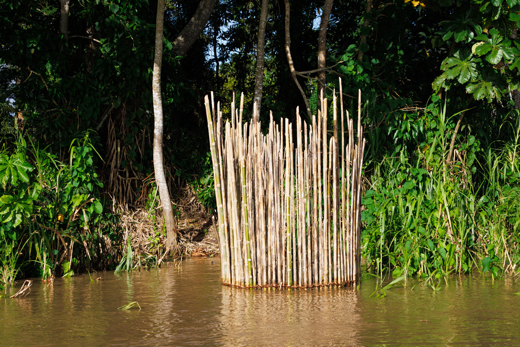 Fischfalle für einen Pirarucu im Amazonas