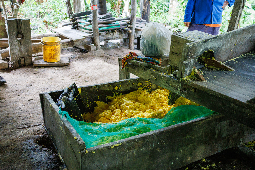 Maniok Mehl Amazonas