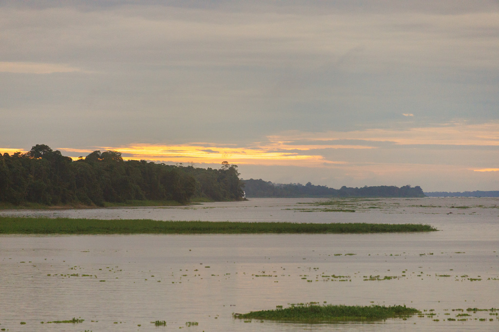 Rio Badajos im Amazonas Regenwald