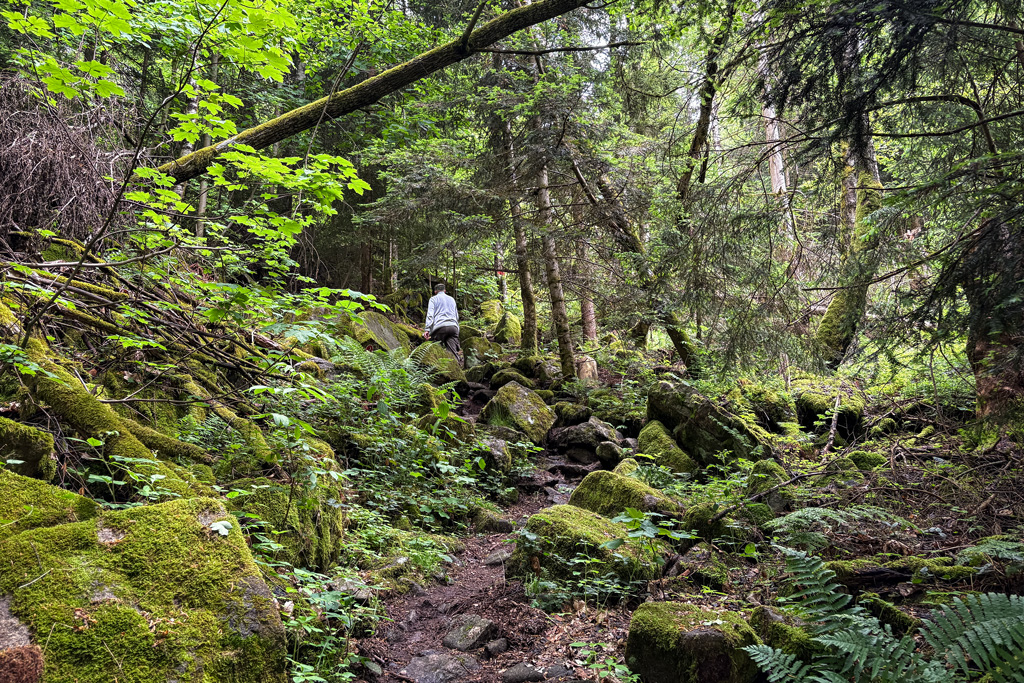 Aufstieg zum Teufelstisch