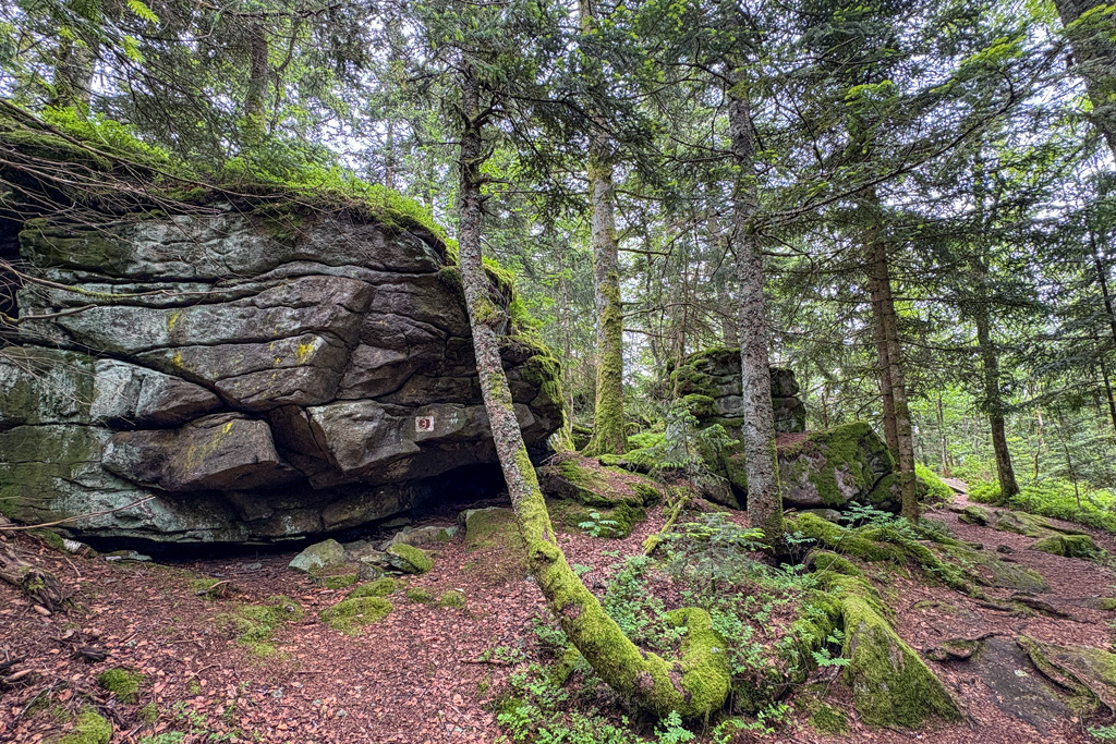 Felsformation mit roter Markierung Richtung Teufelstisch
